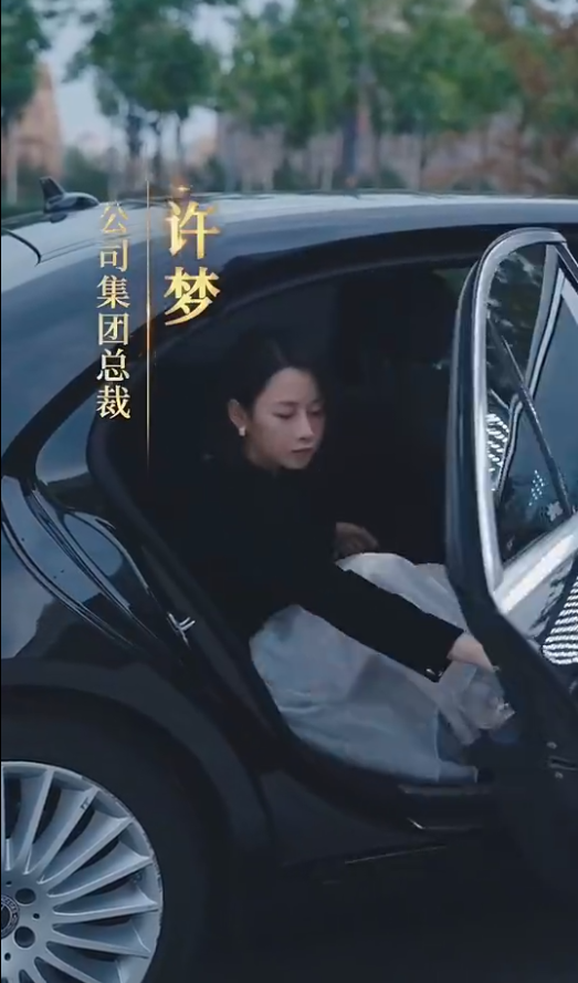 女老板的复仇(全集)